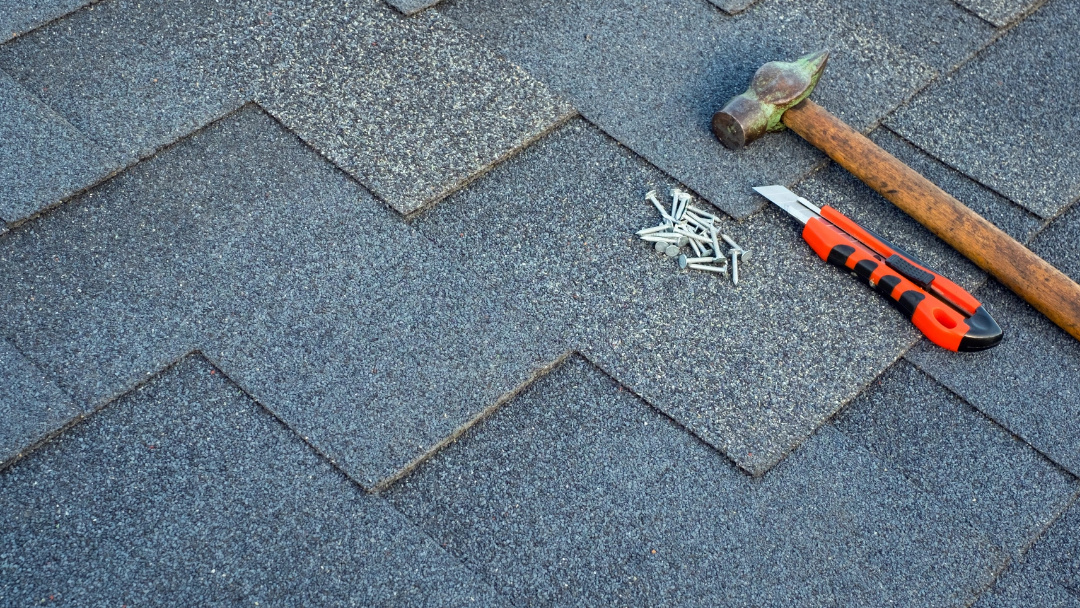 Roof Maintenance